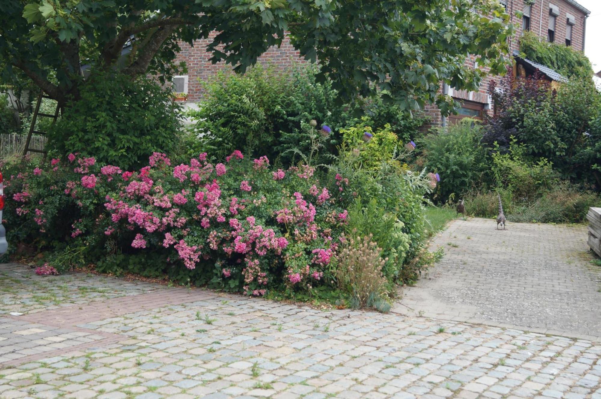 La Petite Maison Sart lez Walhain Exteriör bild